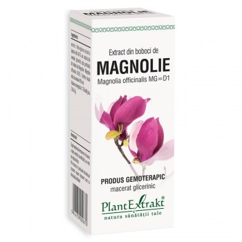 0249e4fc6c7f5_magnolie