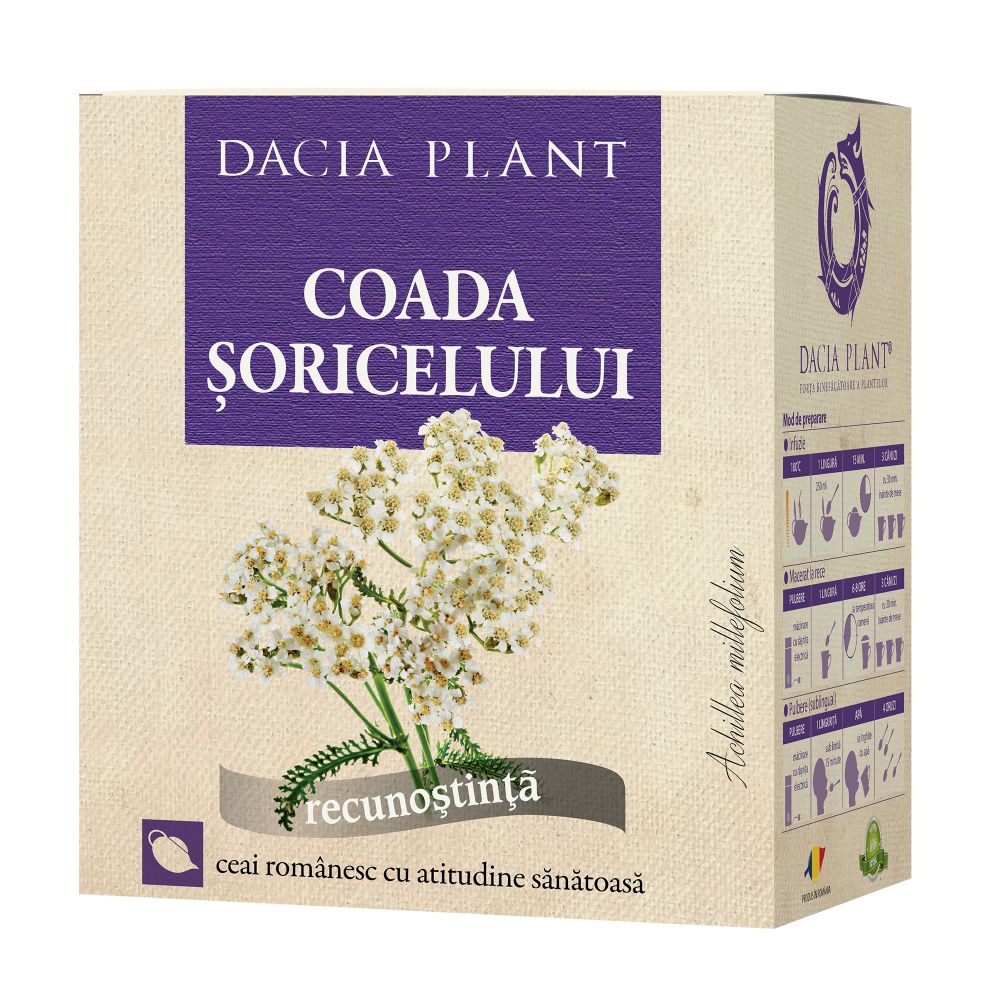 092d287712506_coada-soricelului-ceai-simplu-revizuit_1