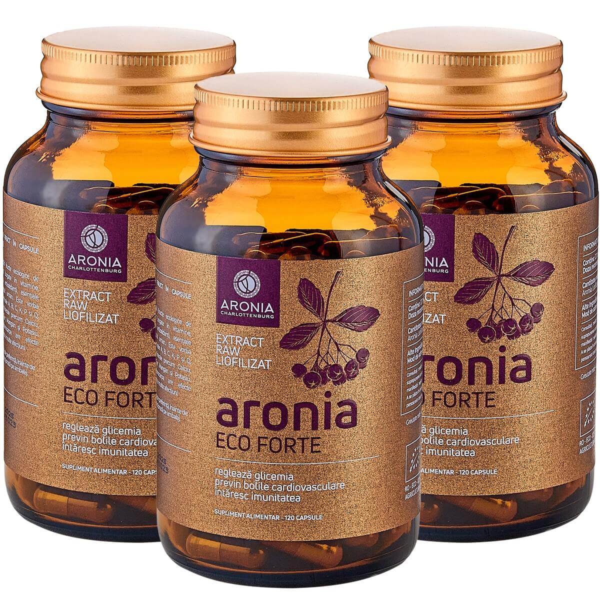 1200x1200-3aronia-eco-forte-