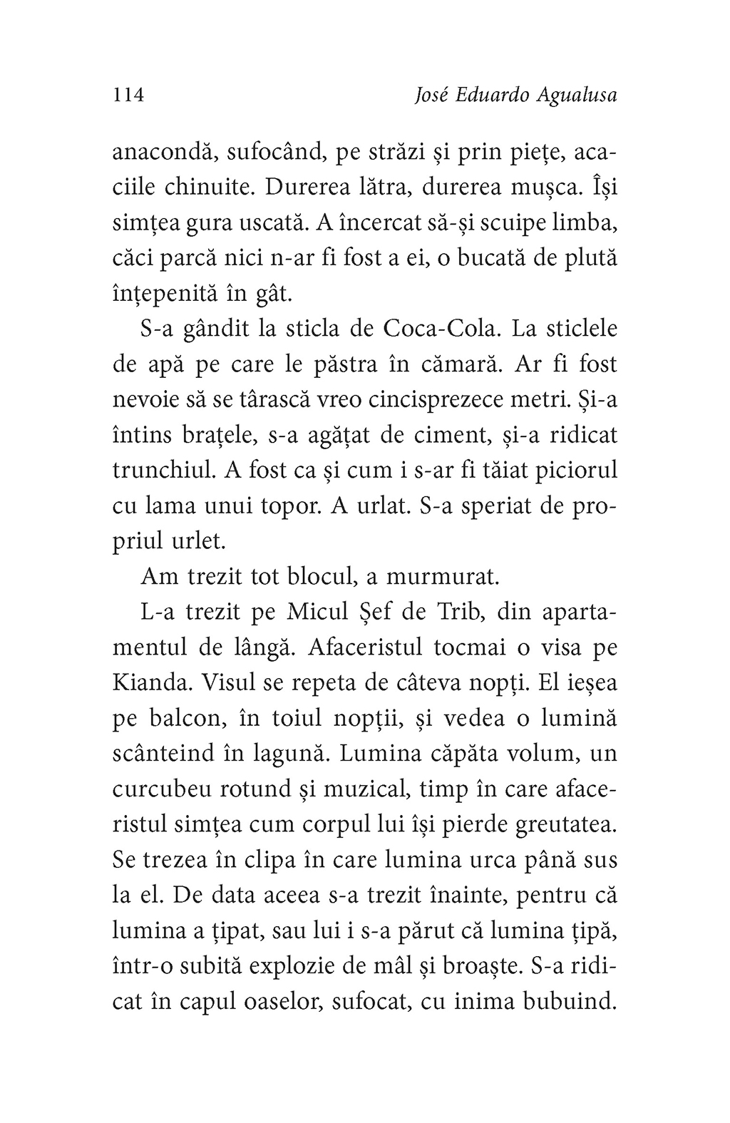 195005719-10