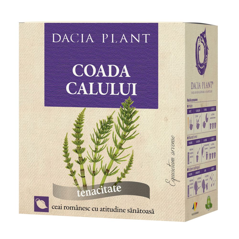 1fb275b512506_coada-calului-ceai-simplu-revizuit_1