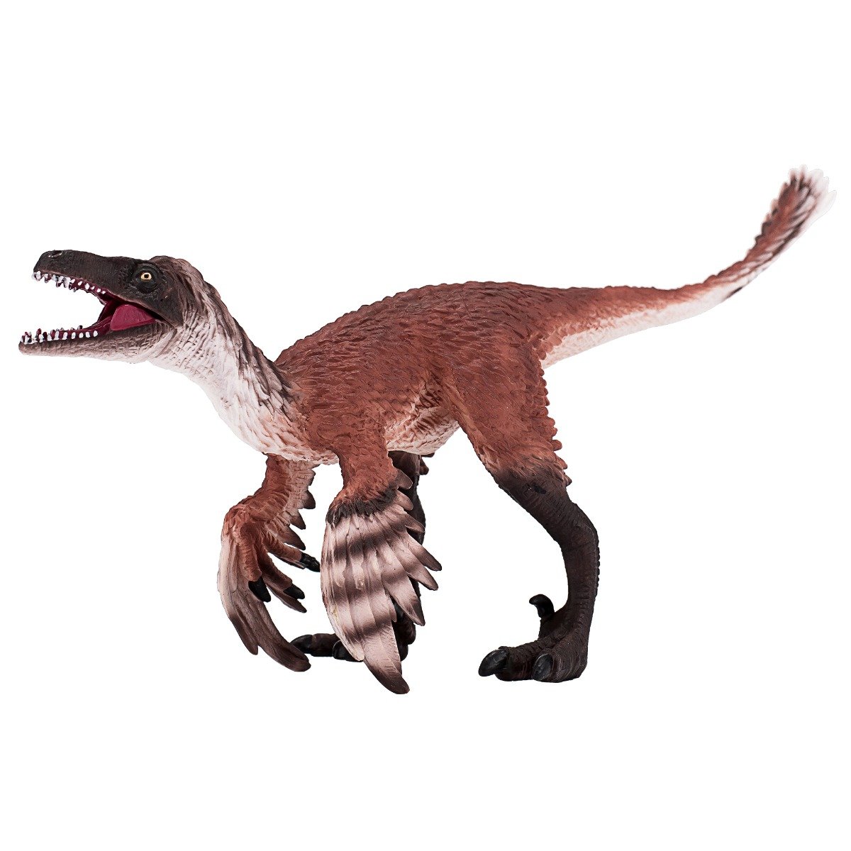 387389_troodon_with_articulated_jaw_1