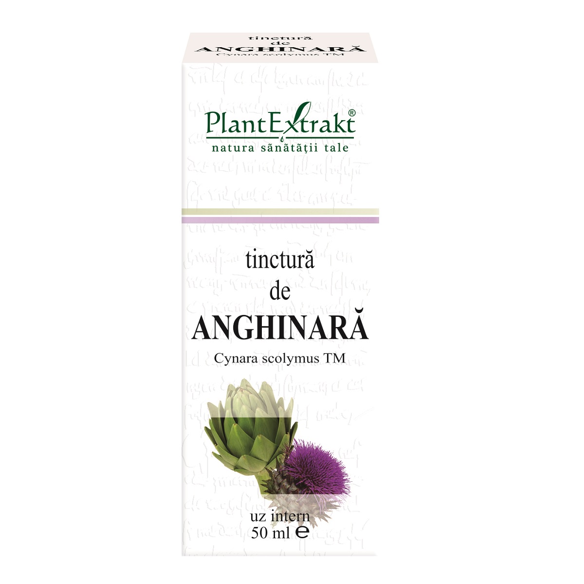 46d768784c7f5_anghinara-2019