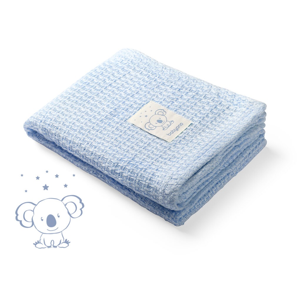 479-02_koala-Z-1024x1024