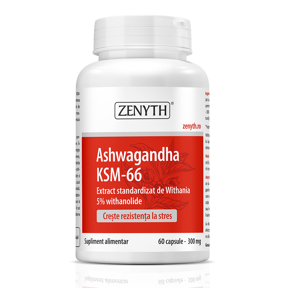 80e7542105906_ashwagandha-ksm-66