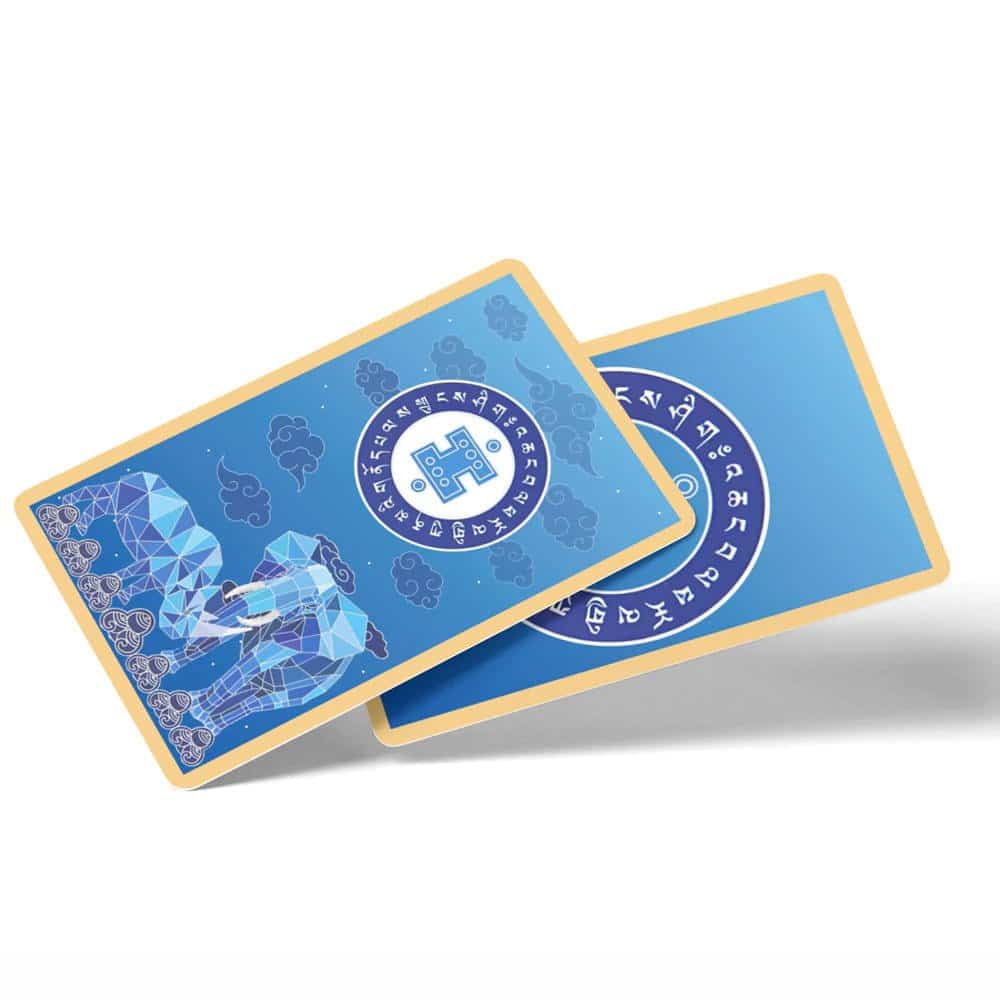 8501-Card-de-protectie-cu-elefant-si-rinocer-2023-1