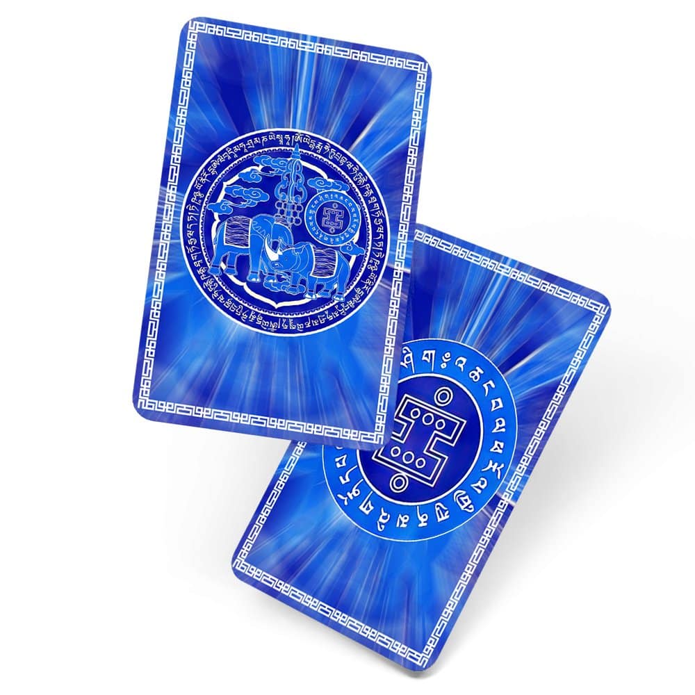 8584-Card-de-protectie-cu-elefant-si-rinocer-2024