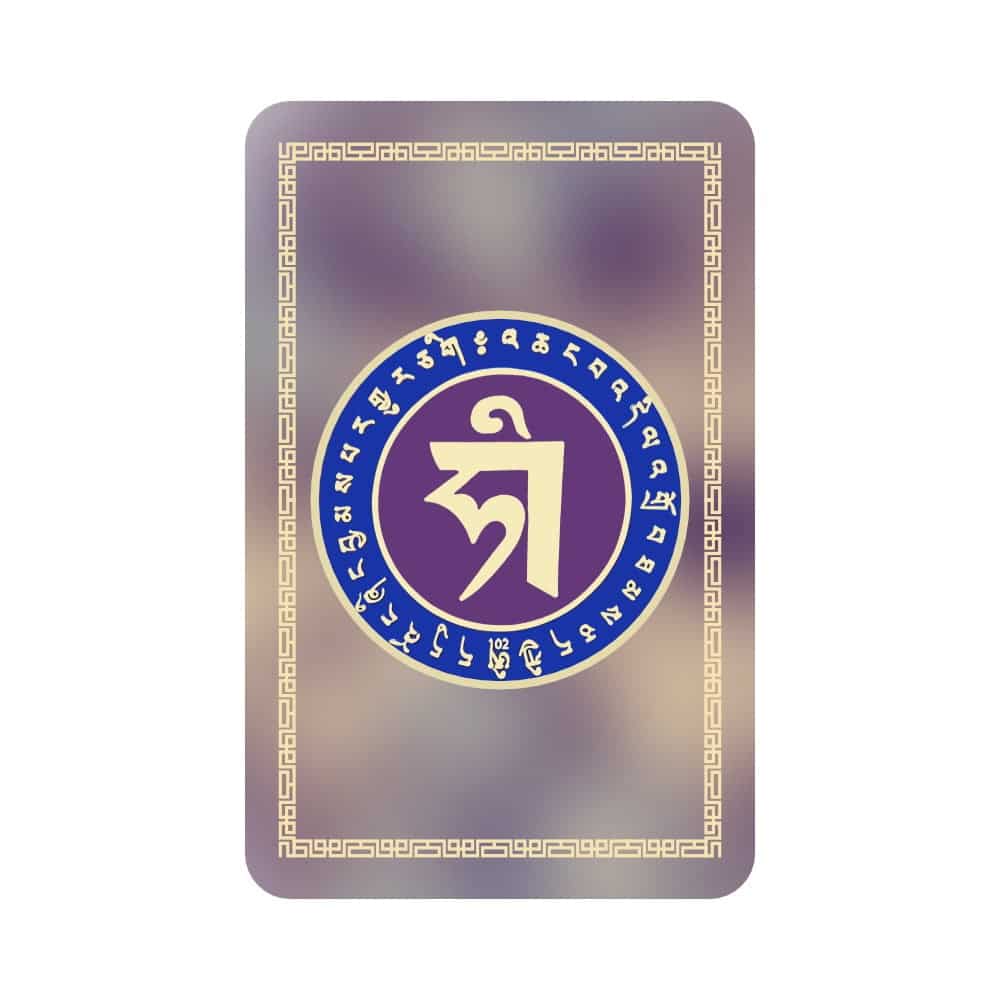 8603-Card-cu-prietenii-secreti-–-Dragon-si-Cocos-2024-spate