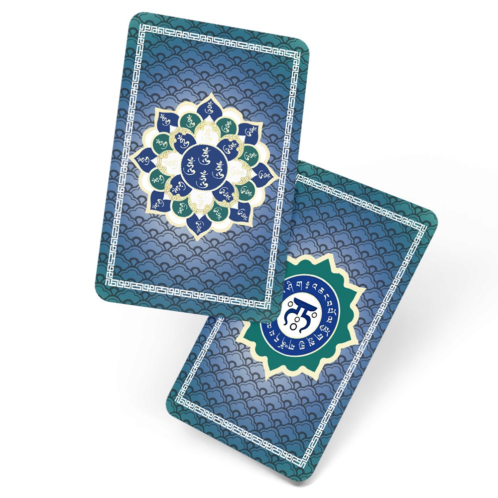 8629-Card-de-protectie-cu-Silaba-HUM-2024