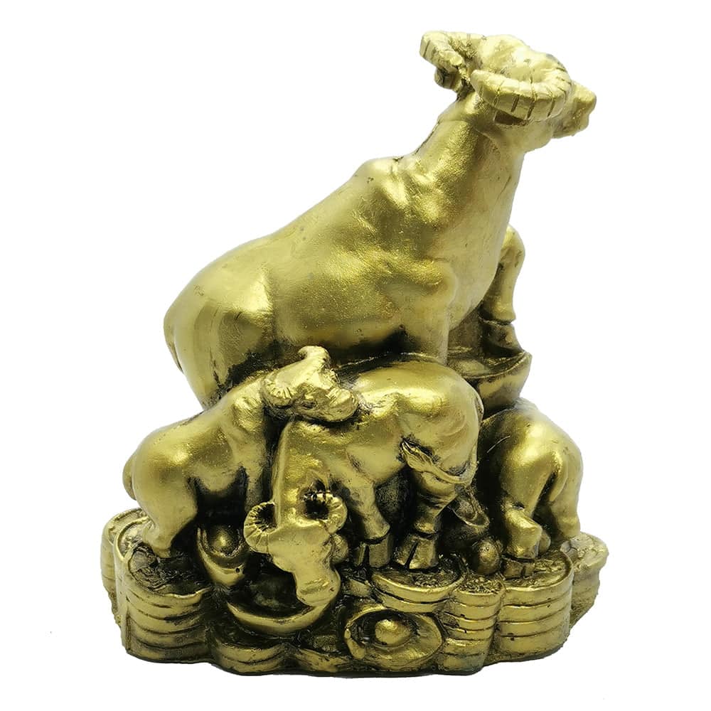 Familie-de-bivoli-pe-comori-pentru-prosperitate-1