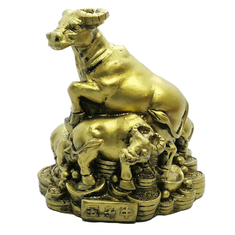 Familie-de-bivoli-pe-comori-pentru-prosperitate-4