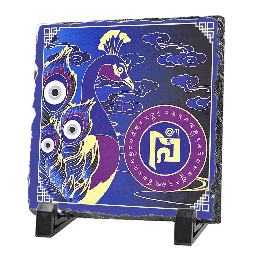 Placa-cu-paunul-magic_mkp2