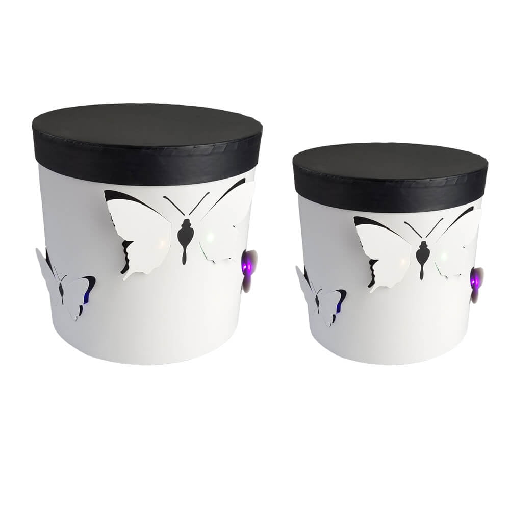 Set-2-cutii-rotunde-cu-fluturi-si-lumini-alb-1-craftup.ro_