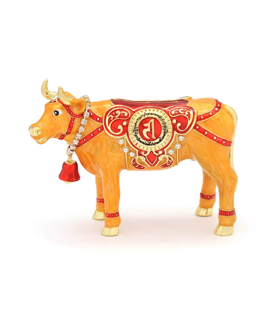 VACA-SACRA-A-RESURSELOR-3