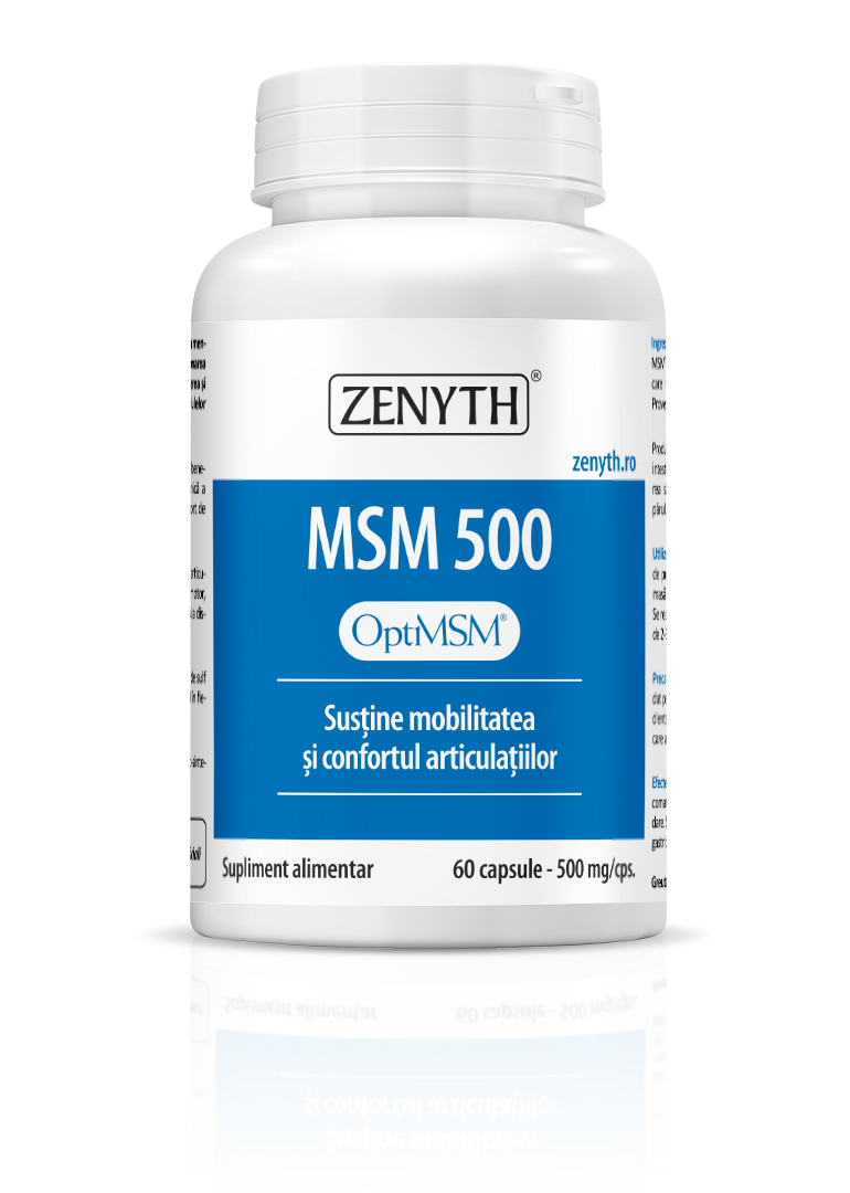 ac225e37e3906_msm-500-1