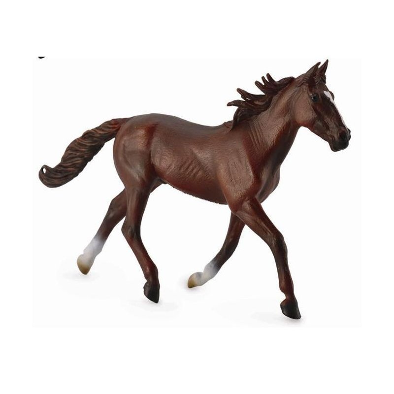 armasar-standardbred-pacer-castaniu-126474-4