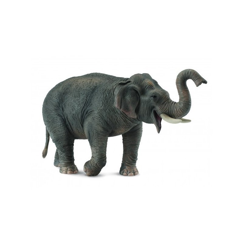 collecta-figurina-elefant-asiatic-xl-126057-4