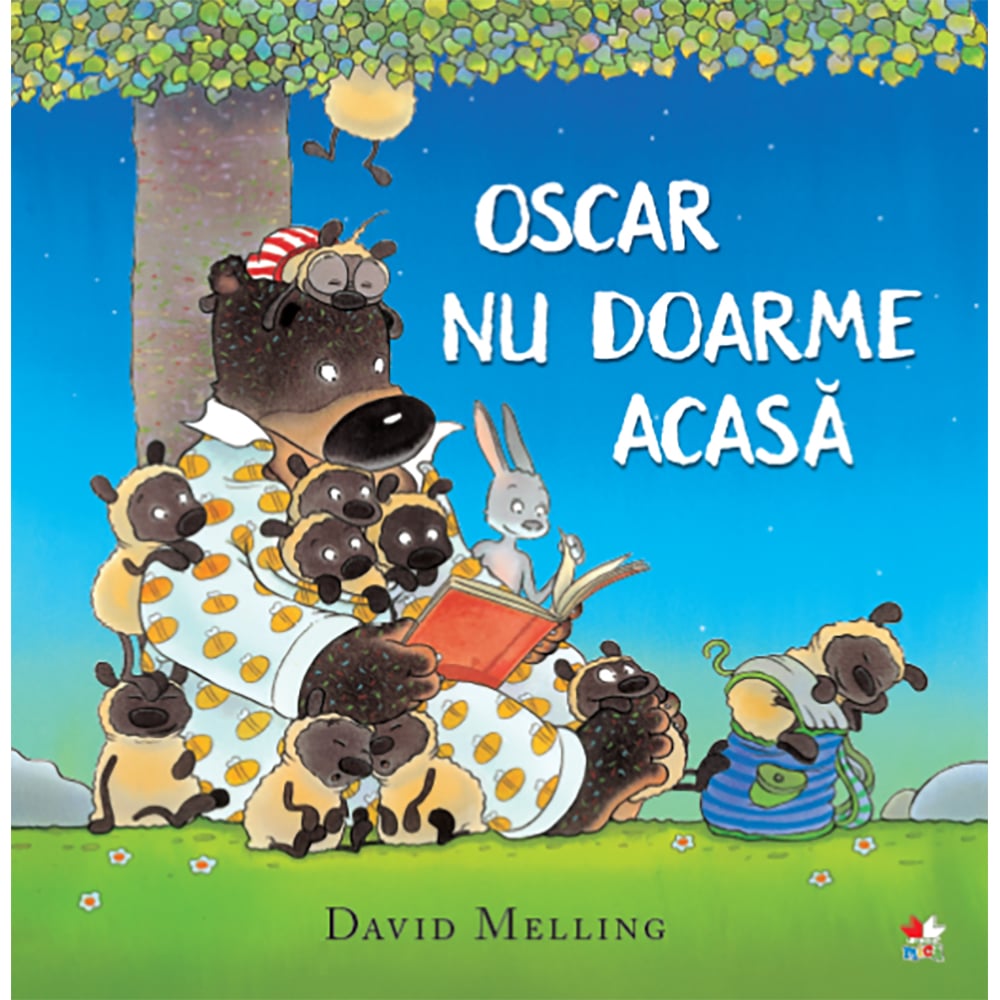 cpb223_001w_carte_editura_litera_oscar_nu_doarme_acasa_david_melling