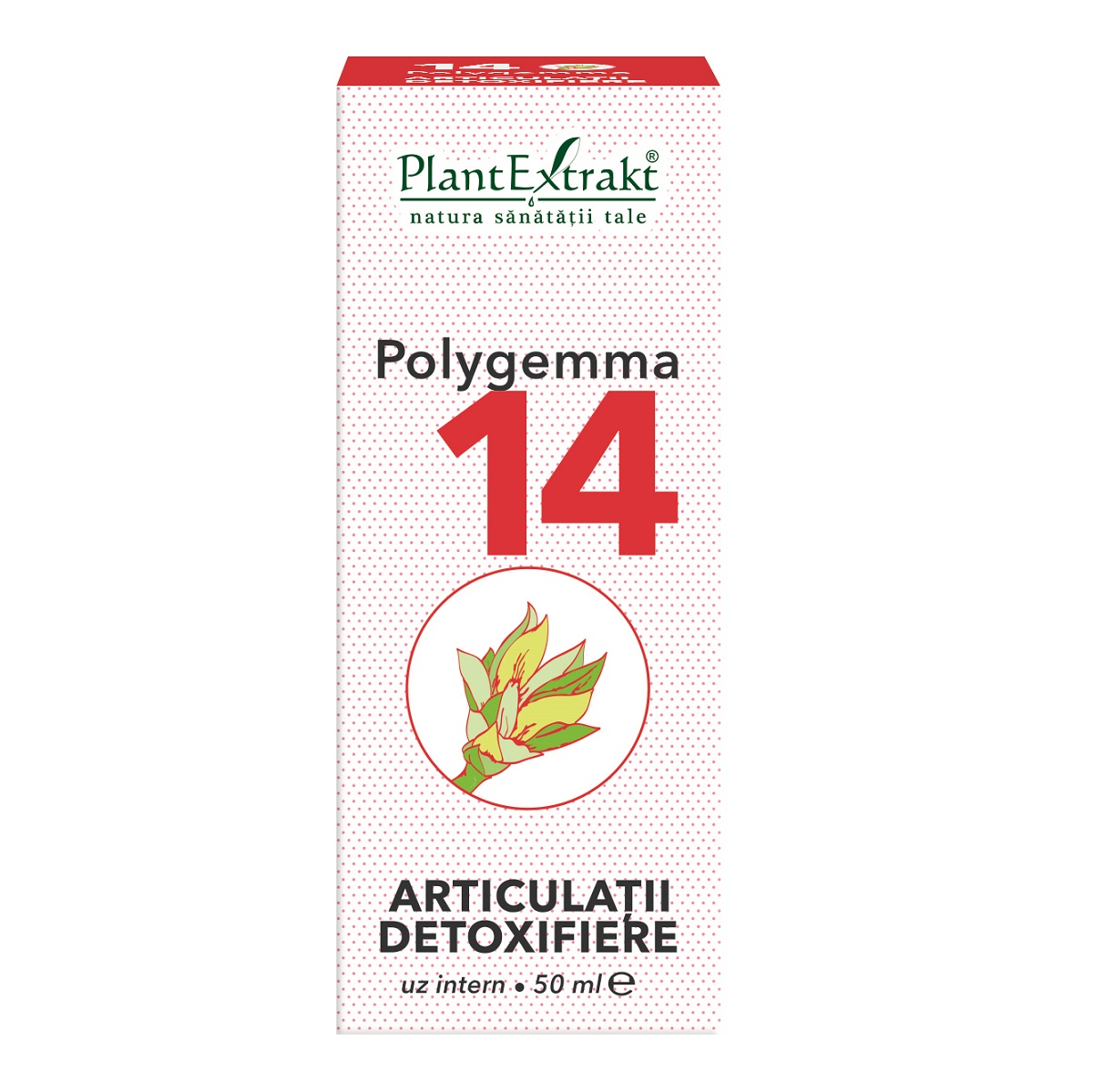 e7243cfe2b5f5_polygemma-14