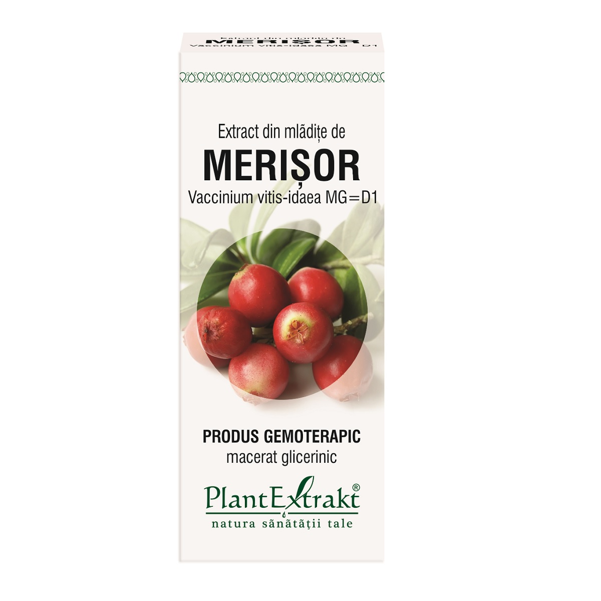 f4ef36434b5f5_merisor-vaccinium-vitis-idaea