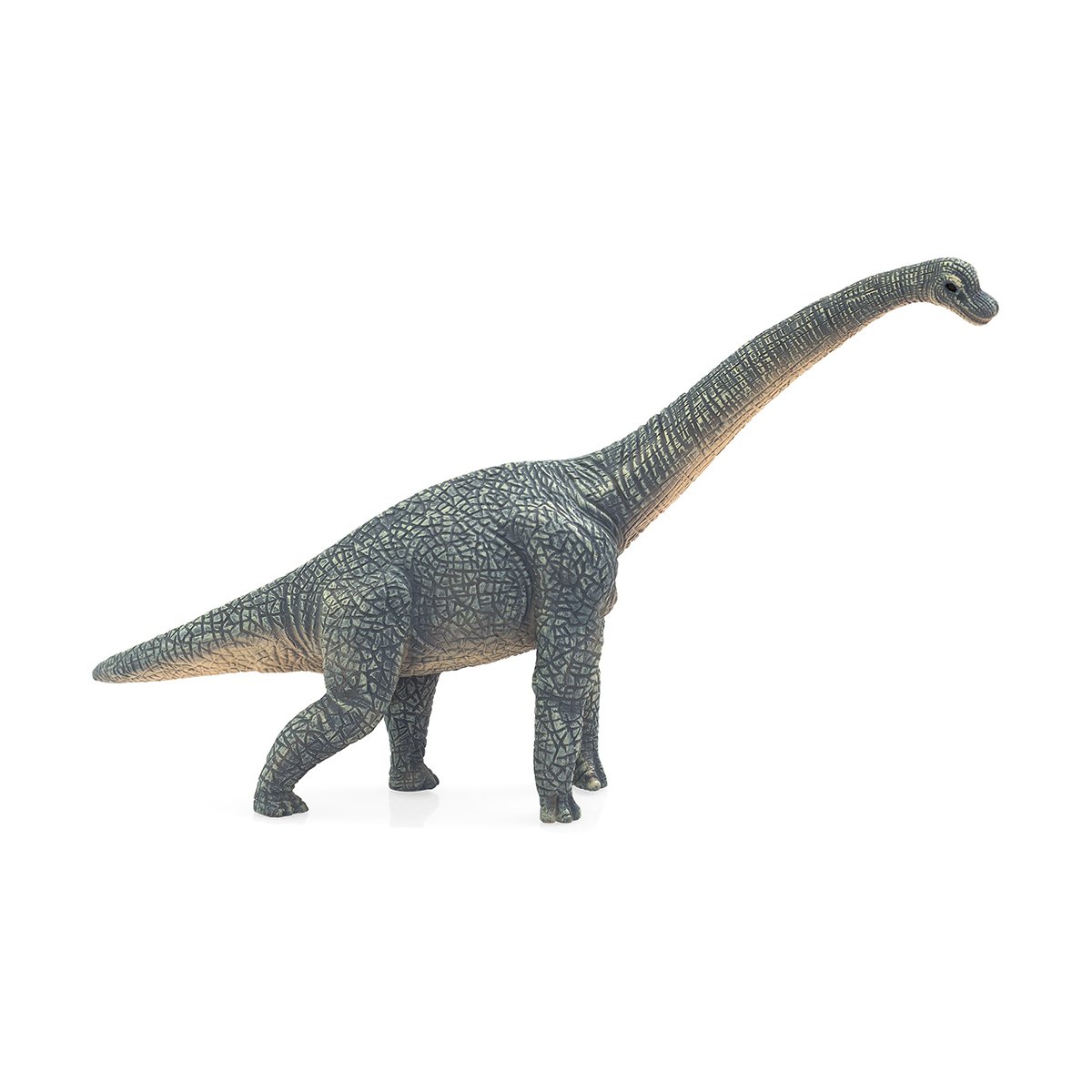 mojo387044_001w_figurina_dinozaur_mojo_brachiosaurus