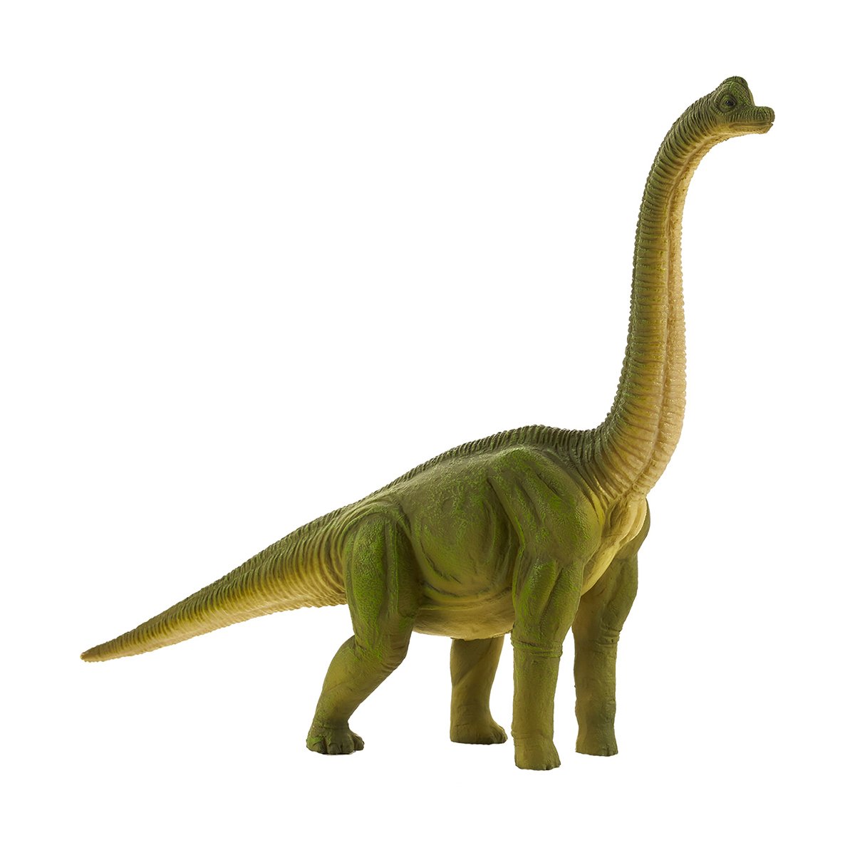 mojo387212_001w_figurina_dinozaur_mojo_brachiosaurus