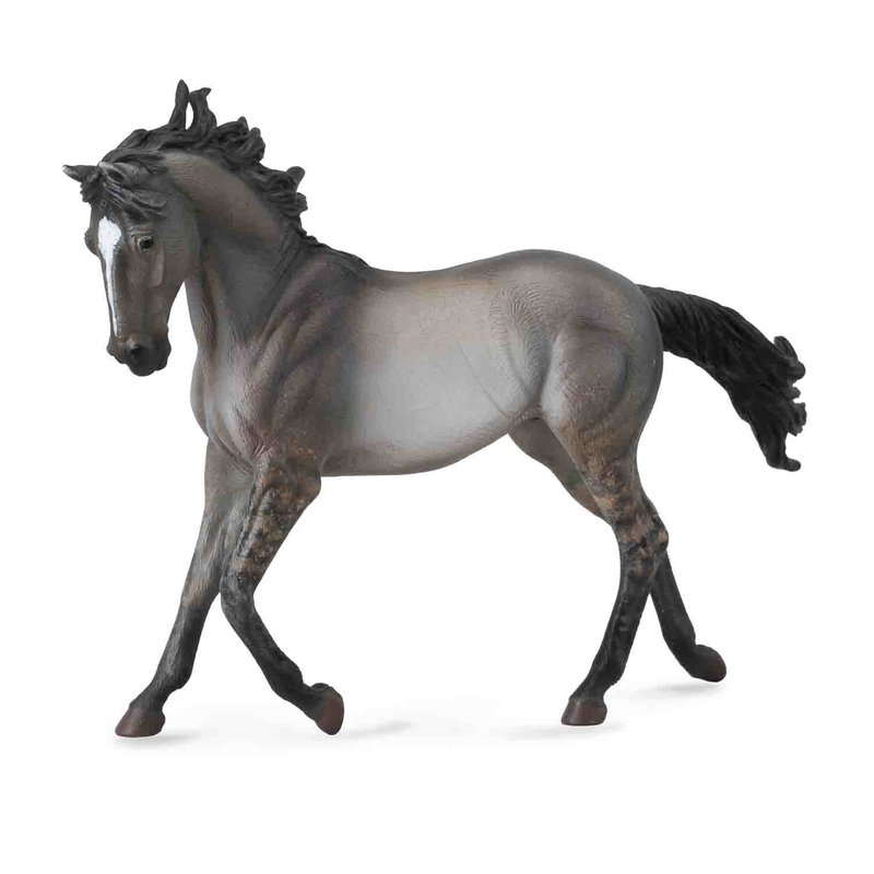 mustang-grulla-126466-4