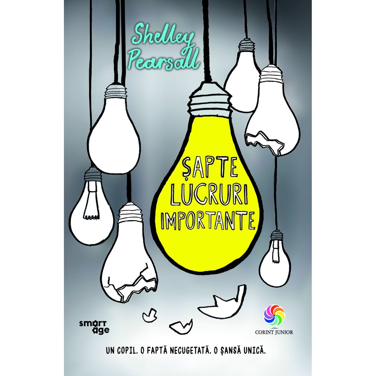 n00093562_9786067935622_sapte_lucruri_importante