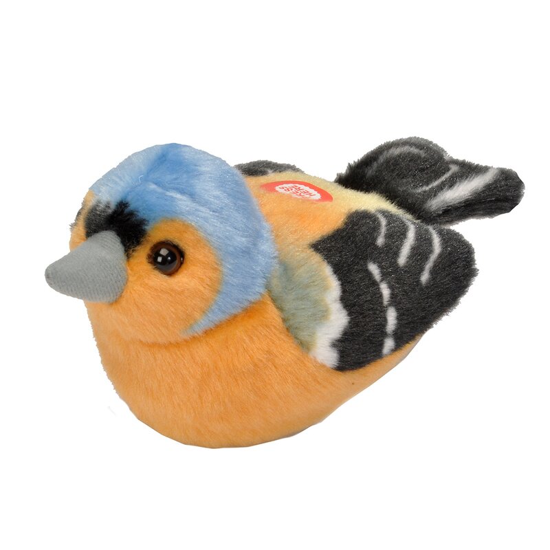 pasare-cu-sunet-cinteza-chaffinch-1545559-4
