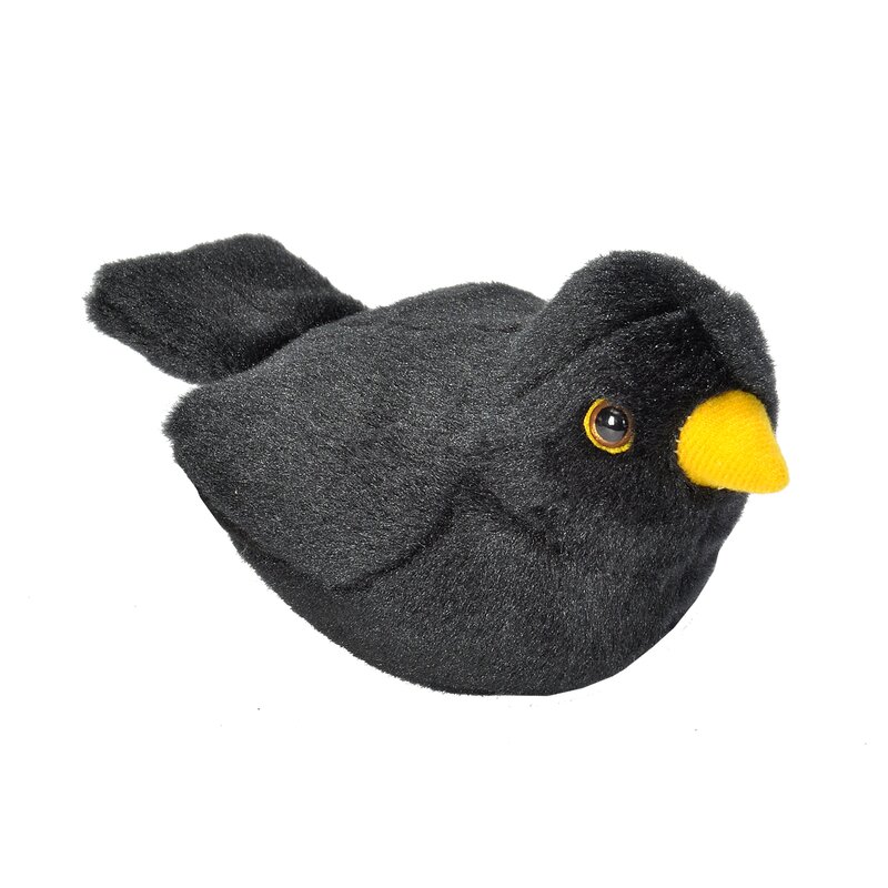 pasare-cu-sunet-mierla-european-blackbird-1545580-4