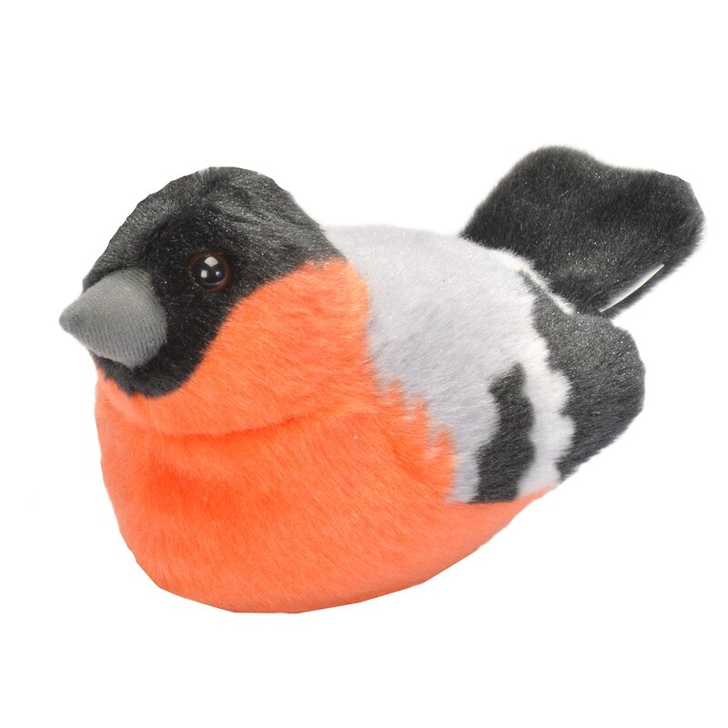 pasare-cu-sunet-mugurar-bullfinch-1545583-4