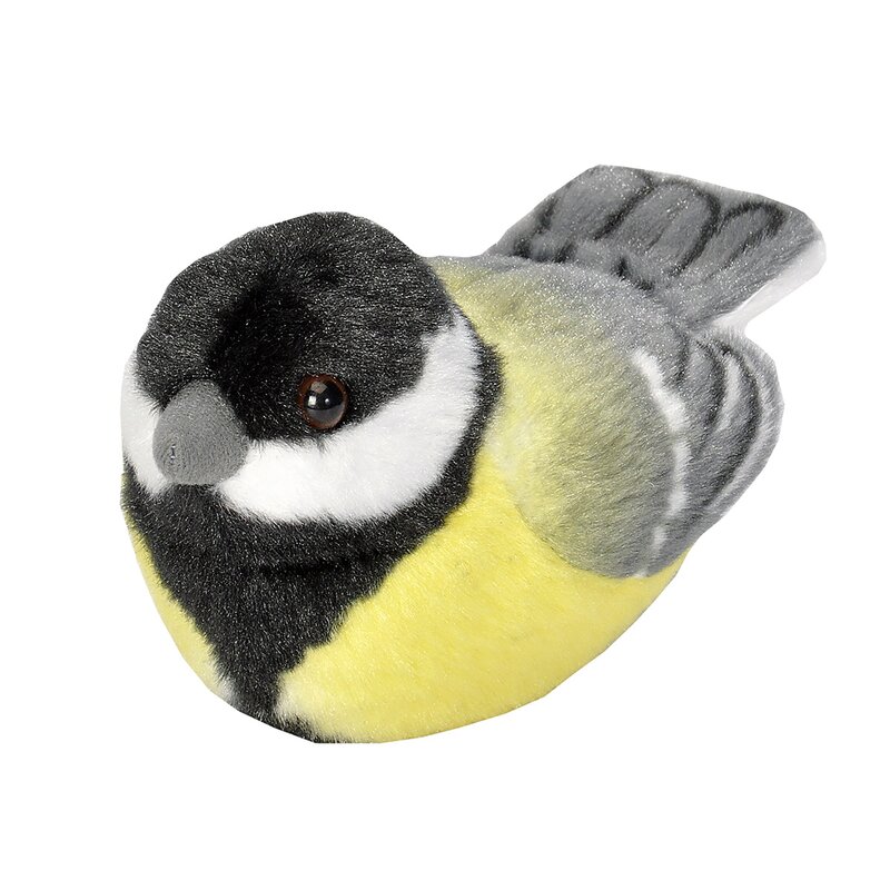 pasare-cu-sunet-pitigoi-mare-great-tit-1545592-4