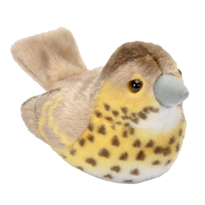 pasare-cu-sunet-sturz-cantator-song-thrush-1545616-4