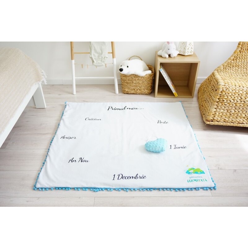 paturica-aniversara-evenimente-speciale-cu-minky-bleu-2083175-4