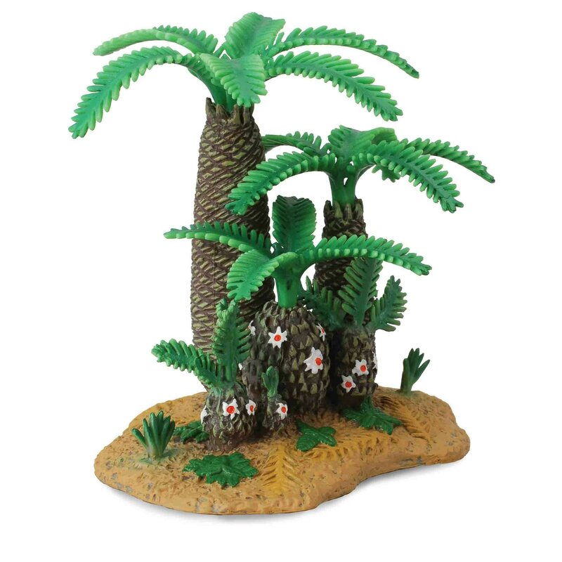 plantele-monanthesia-si-cycadeoidea-collecta-1176689-4