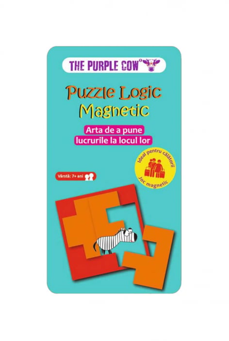 puzzle-logic-magnetic-ro-899-6821