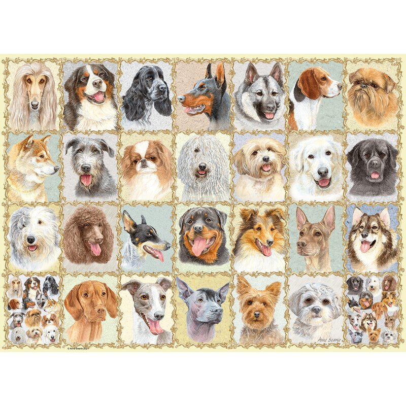 puzzle-portrete-de-caini-500-piese-1444552-4