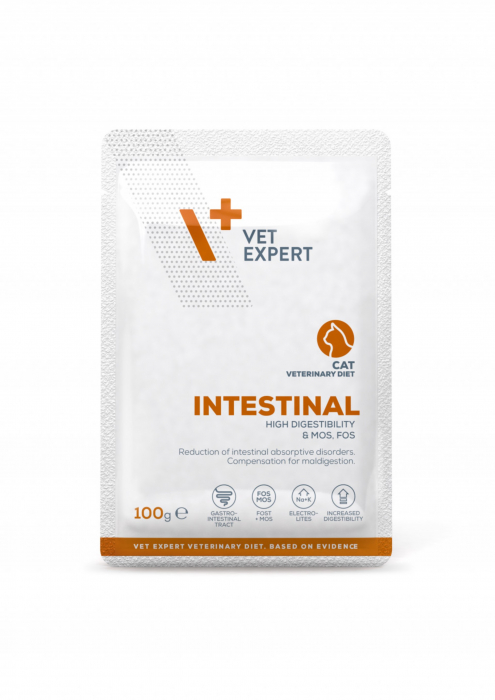 4t-dieta-veterinara-pisici-intestinal-cat-vetexpert-conserva-100g-463091