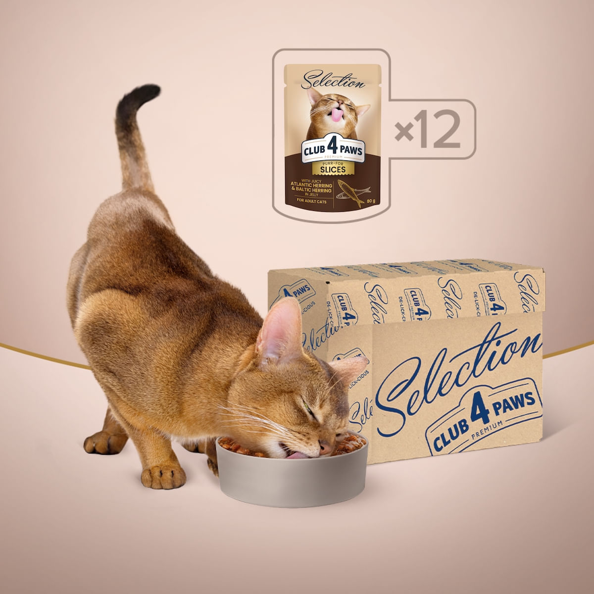 CLUB-4-PAWS-Premium-Plus-Selection-Hering-plic-hrana-umeda-pisici-in-aspic-80g-31271