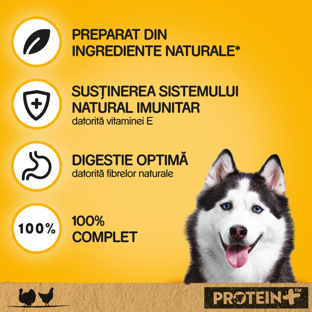 PEDIGREE-XS-XL-Pui-si-Curcan-conserva-hrana-umeda-caini-in-sos-800g-47991