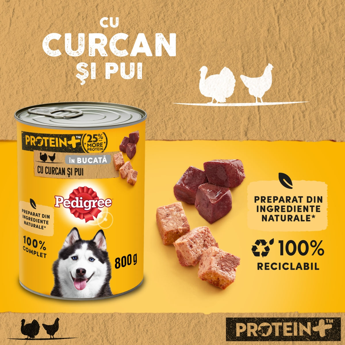 PEDIGREE-XS-XL-Pui-si-Curcan-conserva-hrana-umeda-caini-in-sos-800g-53988