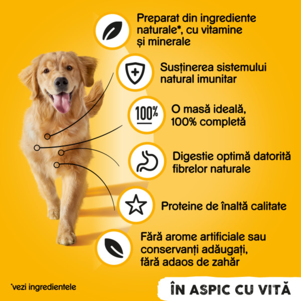 PEDIGREE-XS-XL-Vita-si-Pasare-conserva-hrana-umeda-caini-in-aspic-4