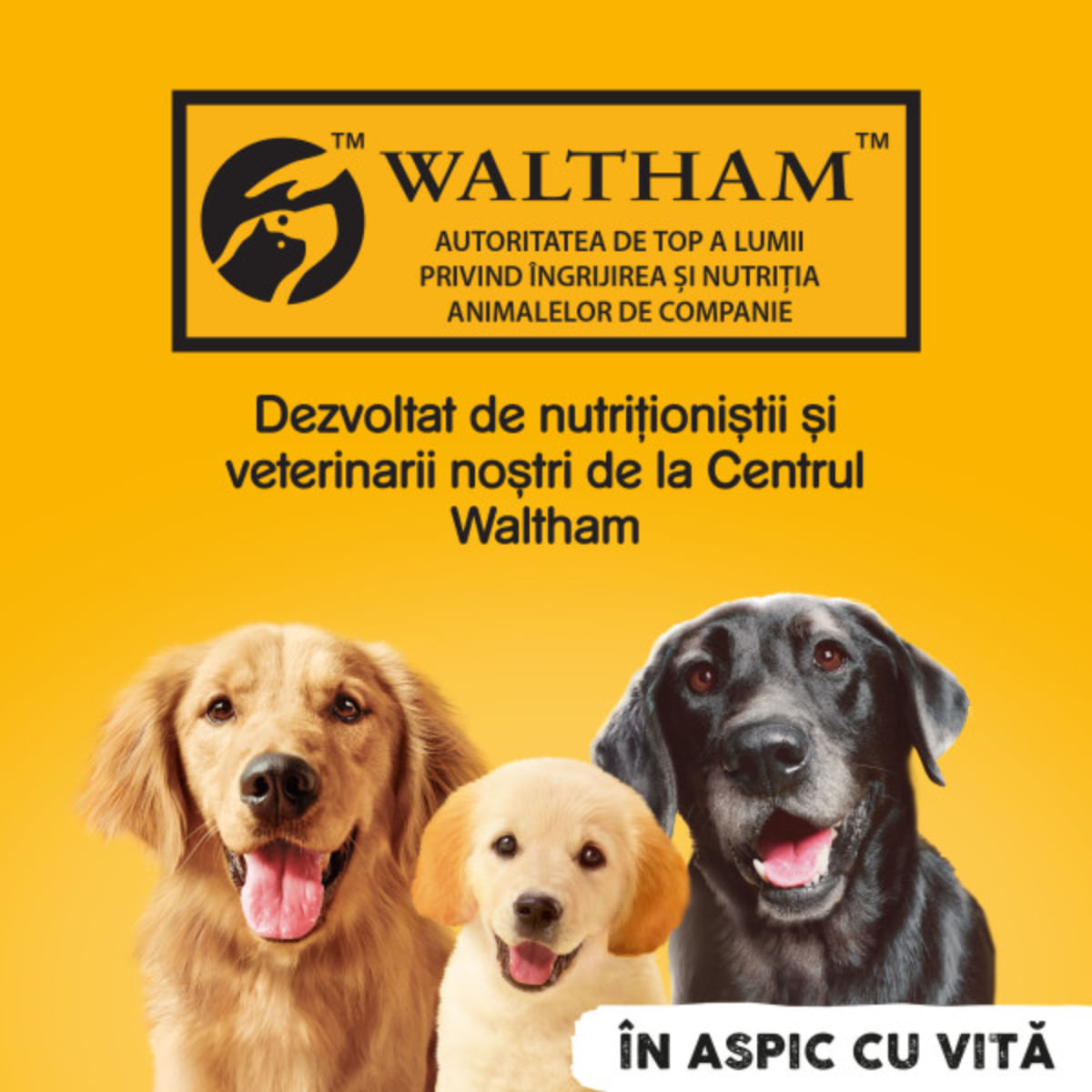 PEDIGREE-XS-XL-Vita-si-Pasare-conserva-hrana-umeda-caini-in-aspic-7