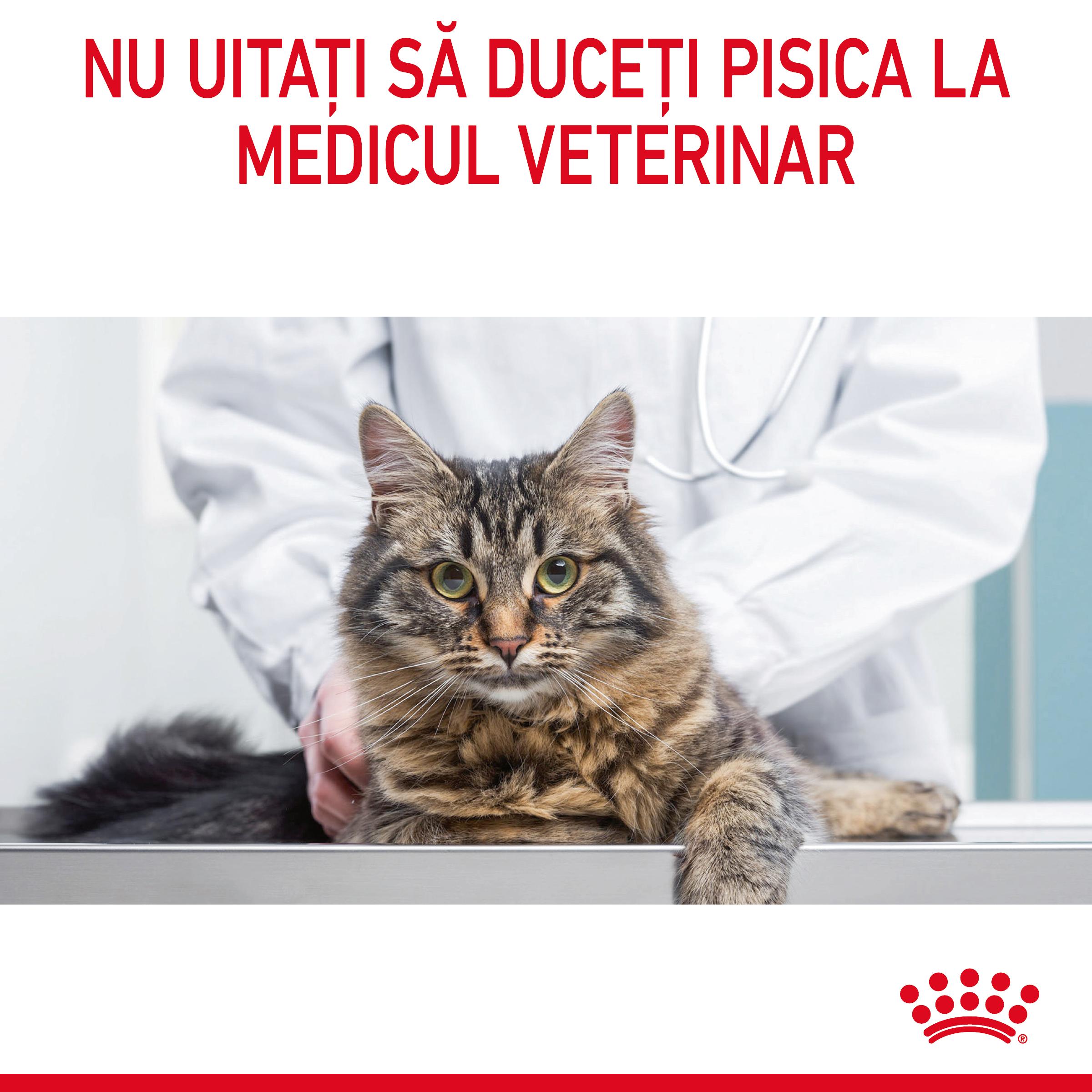 ROYAL-CANIN-Appetite-Control-Care-Adult-hrana-uscata-pisici-reglarea-apetitului-13