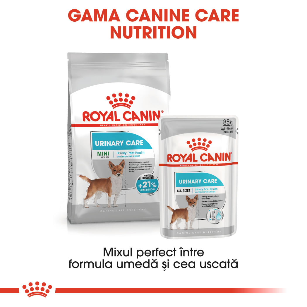 ROYAL-CANIN-Mini-Urinary-Care-hrana-uscata-caini-sanatatea-tractului-urinar-12