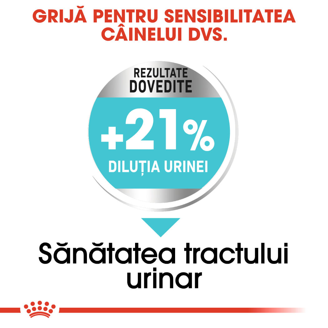 ROYAL-CANIN-Mini-Urinary-Care-hrana-uscata-caini-sanatatea-tractului-urinar-4