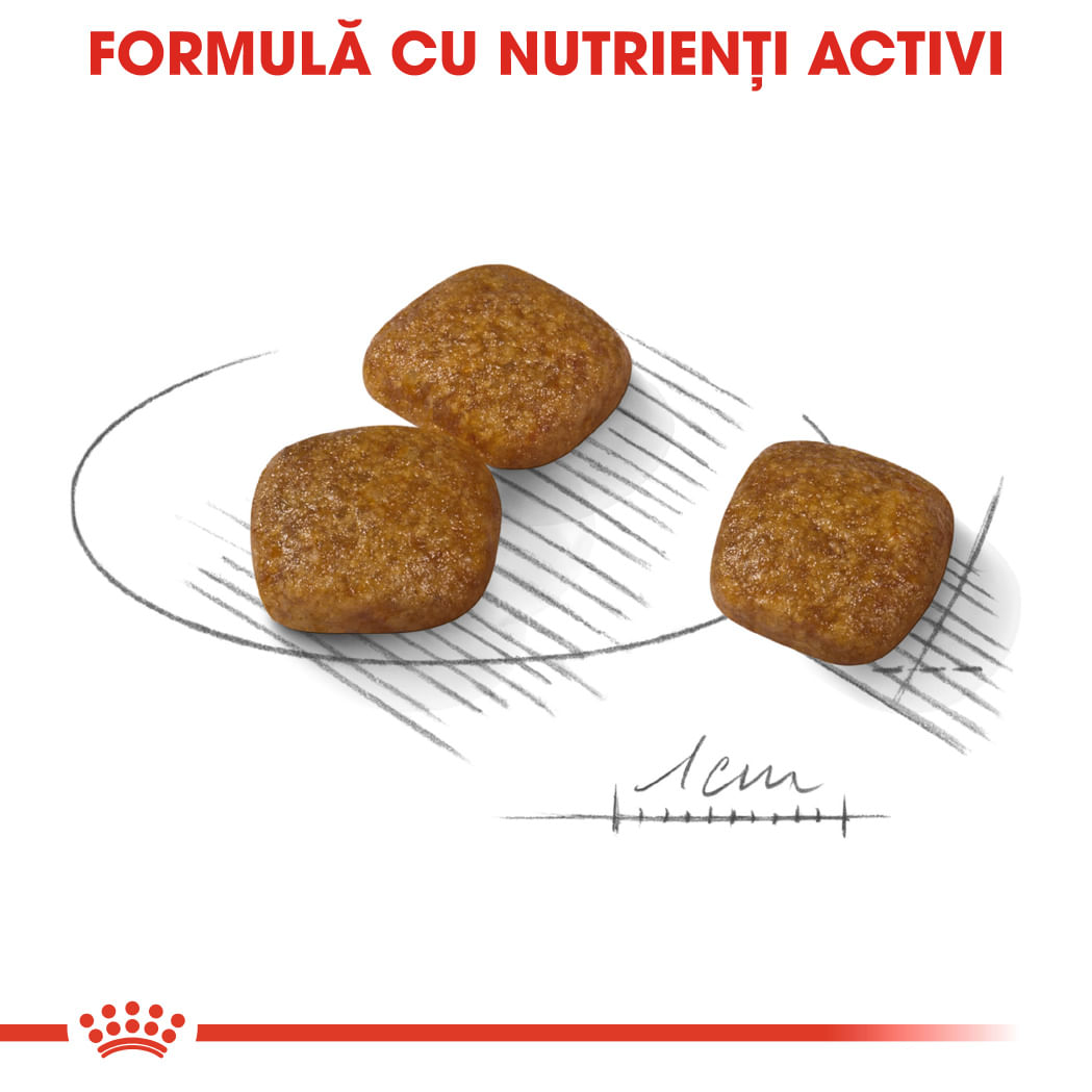 ROYAL-CANIN-Mini-Urinary-Care-hrana-uscata-caini-sanatatea-tractului-urinar-5