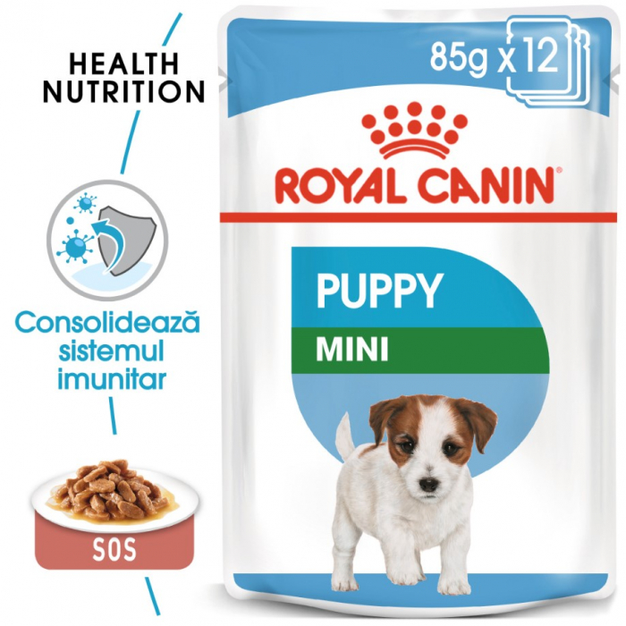 Royal-Canin-Hrana-Umeda-Mini-Puppy-85-g-266-3211