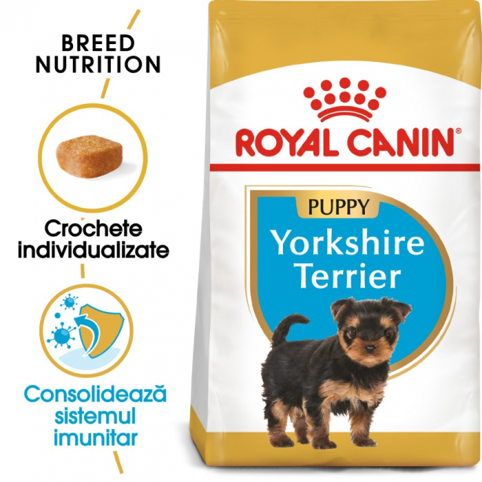 Royal-Canin-Yorkshire-terrier-junior-358-3614