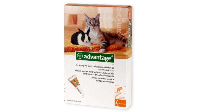 advantage-80-pisica-iepure-4-pipete-copie-566-1381